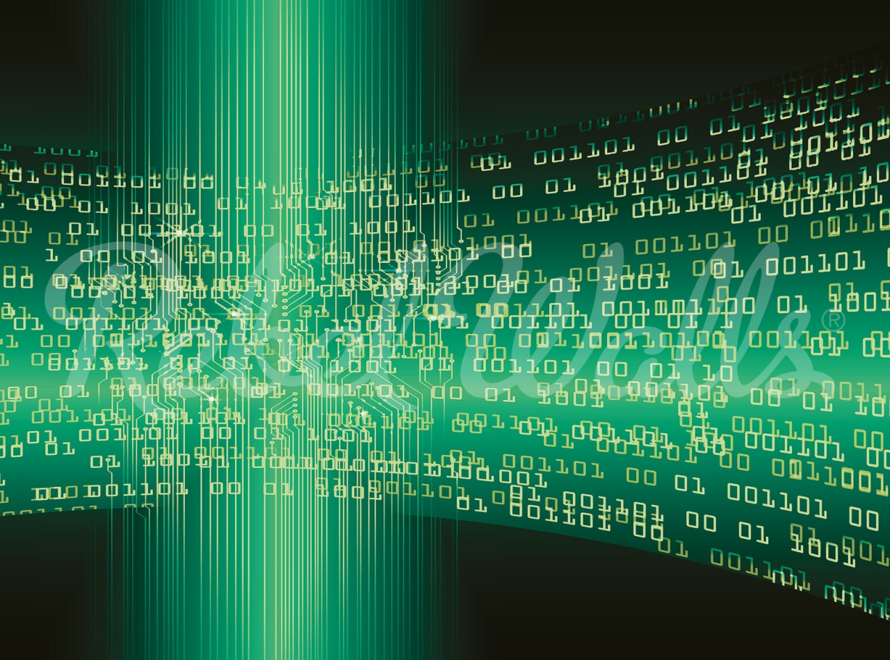 Fototapet, Code, Green, Rebel Walls - 2
