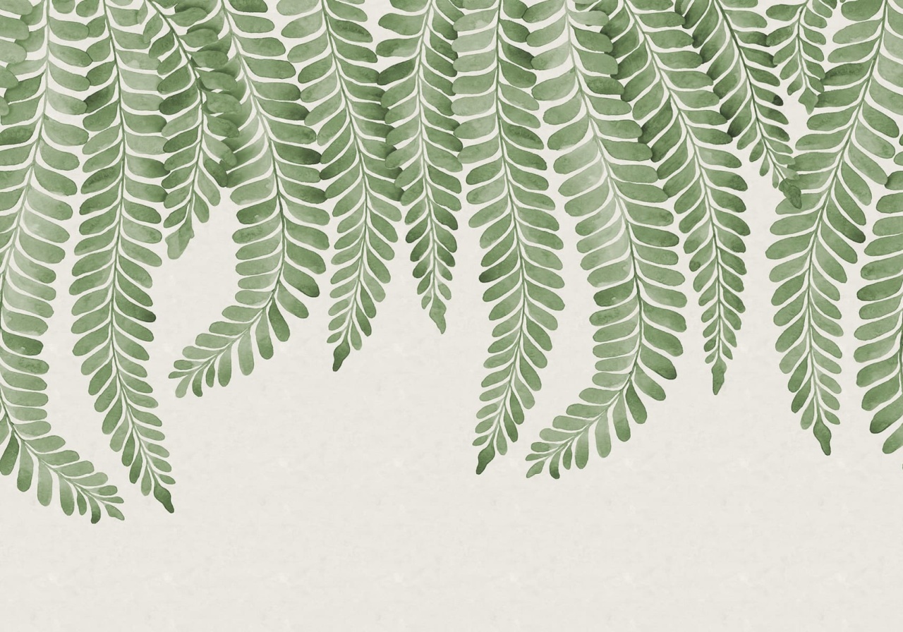 Fototapet, Dangling Fern, Green, Rebel Walls - 2
