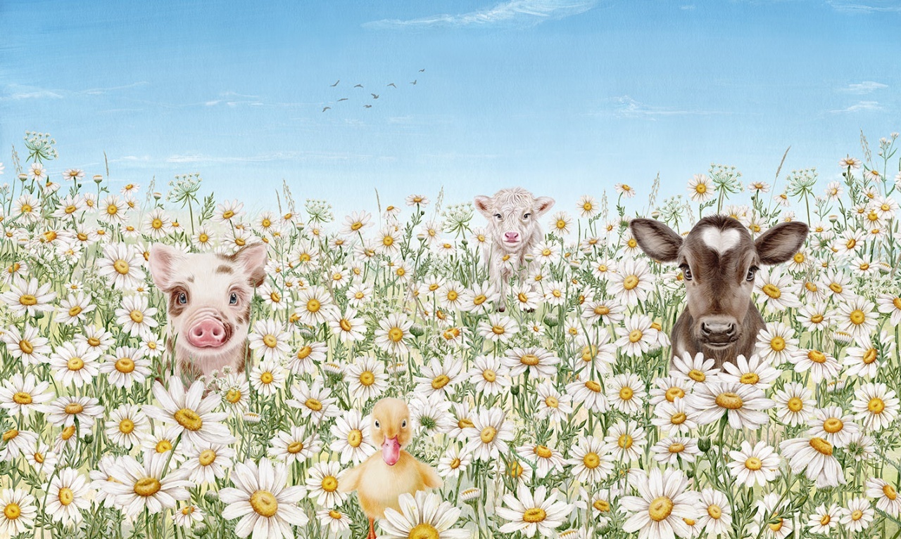 Fototapet Farm Animals, Kikki Belle - 2
