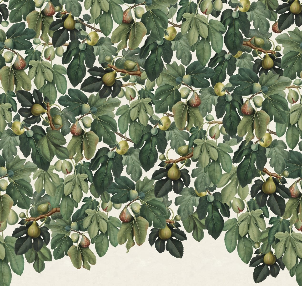 Fototapet, Fig Tree, Green, Rebel Walls - 2