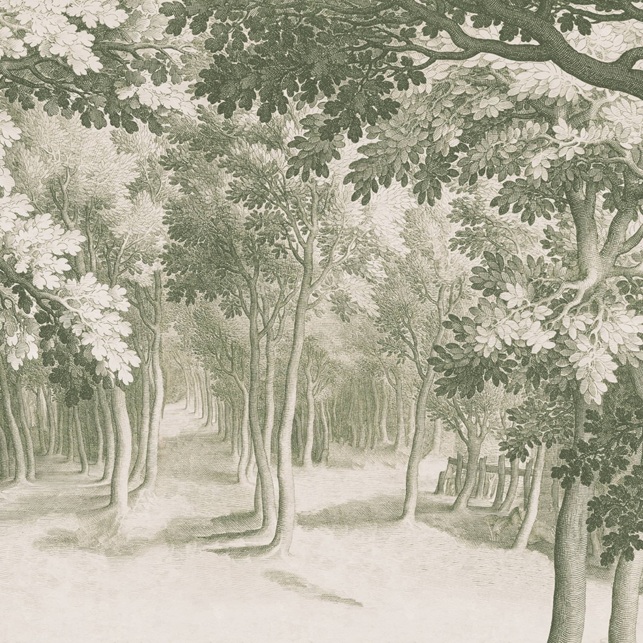 Fototapet, Forest Engraving, Green, Rebel Walls - 2