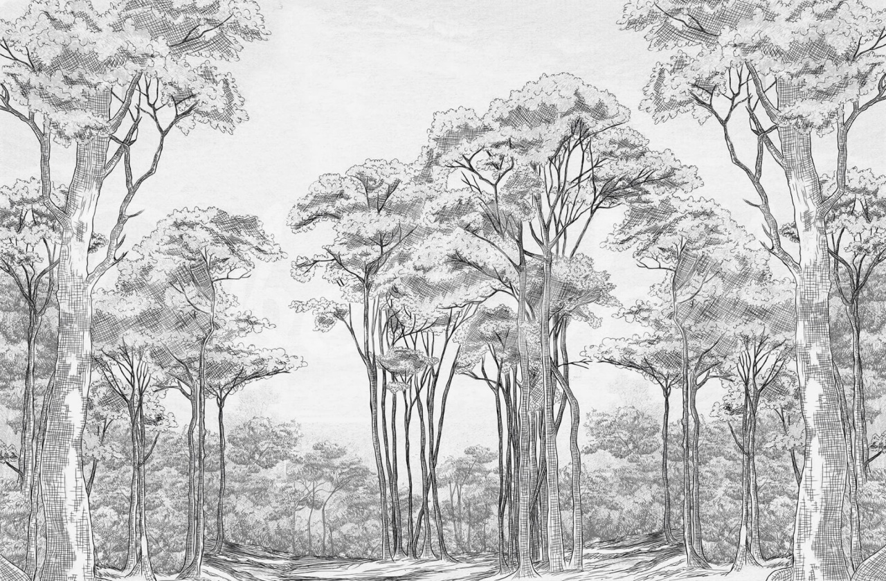 Fototapet, Graphic Trees, Black & White, Rebel Walls - 2
