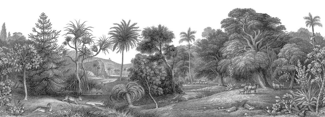 Fototapet, Jungle Land, Rebel Walls - 2
