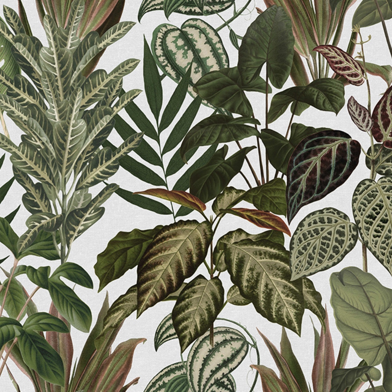 Fototapet, Mischievous Jungle, White, Rebel Walls - 2