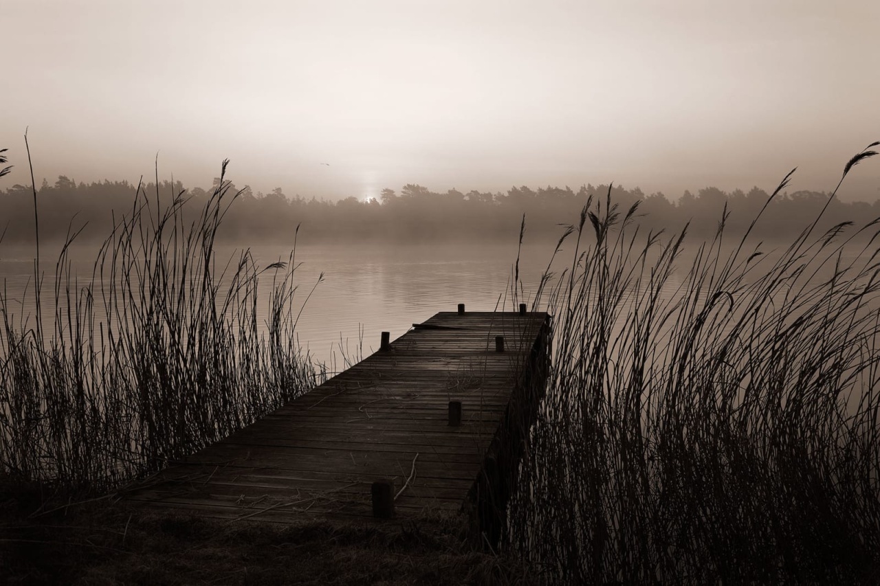 Fototapet, Misty Lake, Rebel Walls - 2