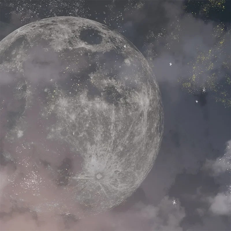 Fototapet Moon Dust, VLAdiLA