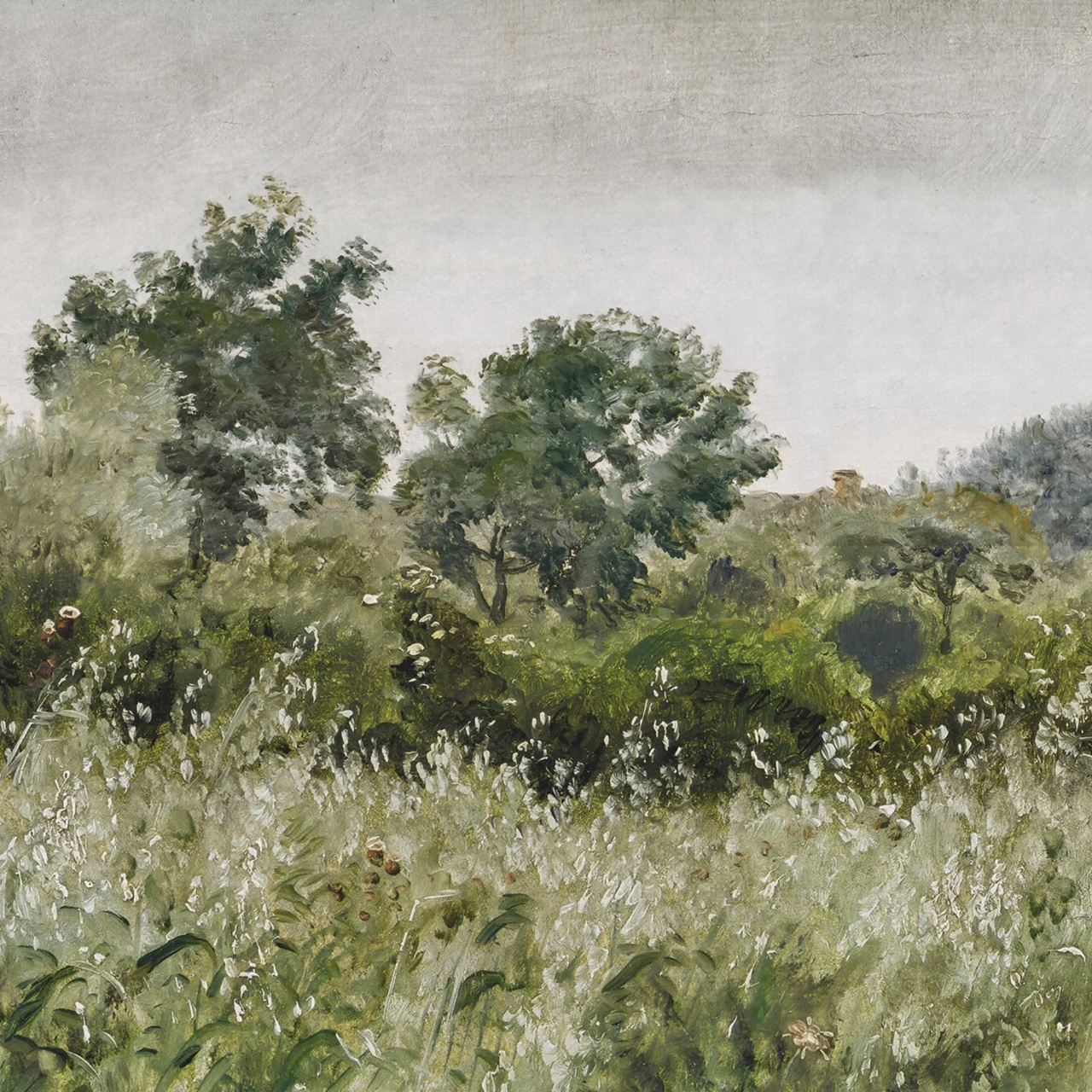 Fototapet, Oatfields, Spring, Rebel Walls - 2