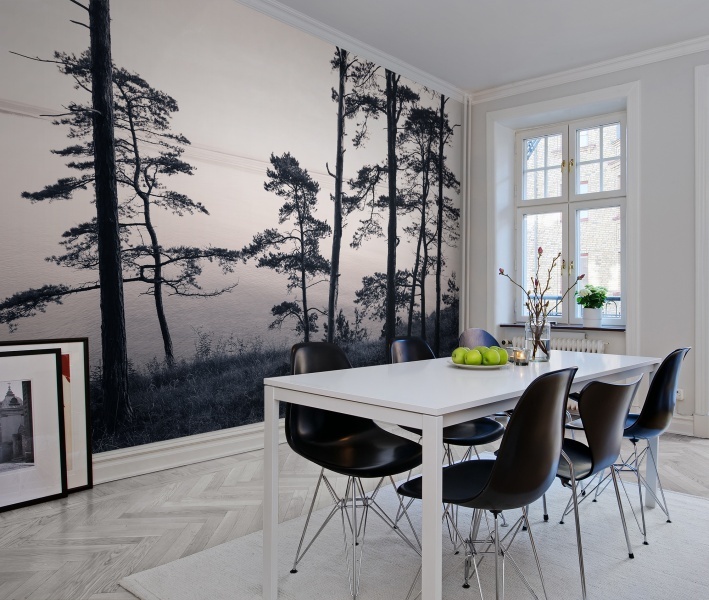 Fototapet, Old Pine Trees, Rebel Walls