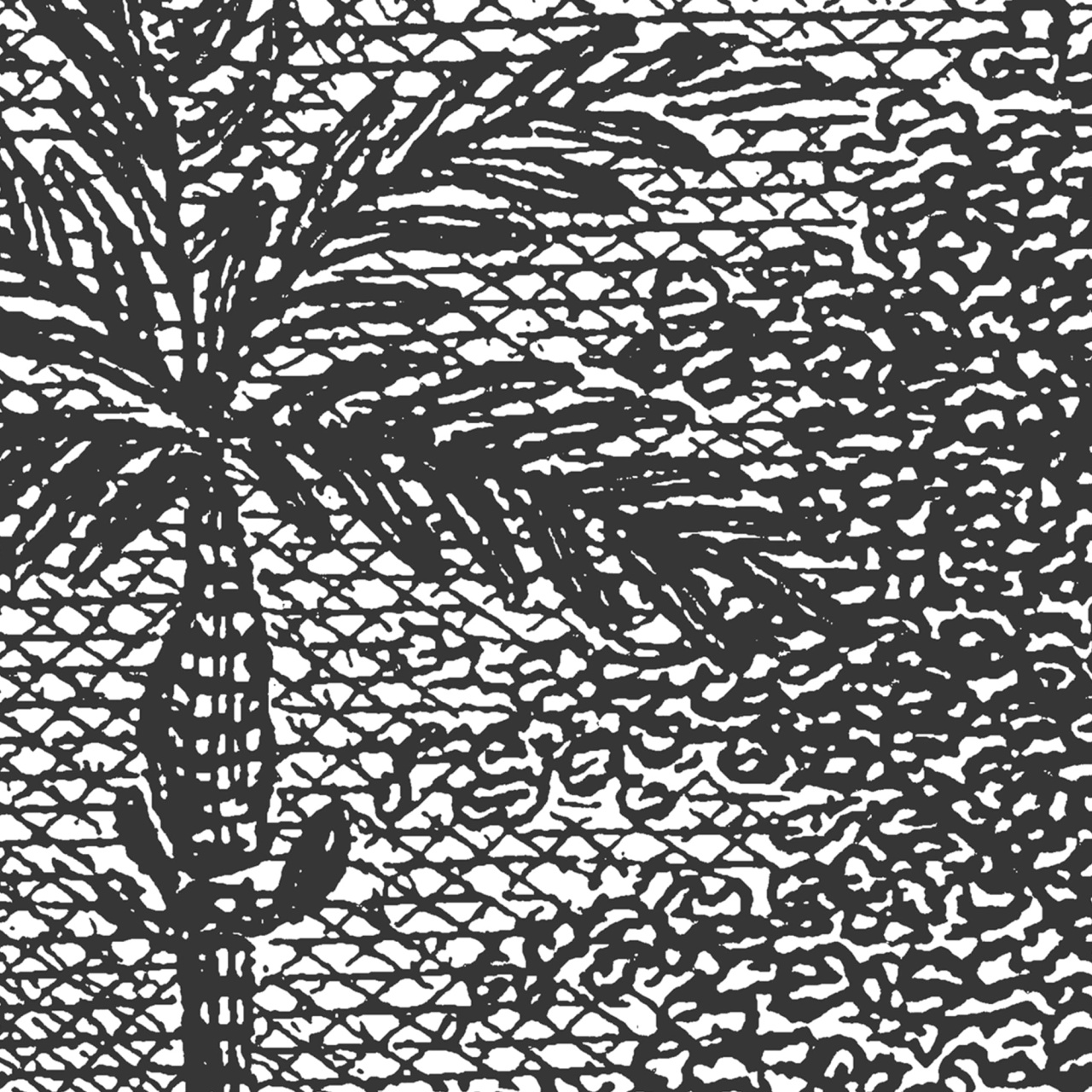 Fototapet, Palm Beach, Black & White, Rebel Walls - 4