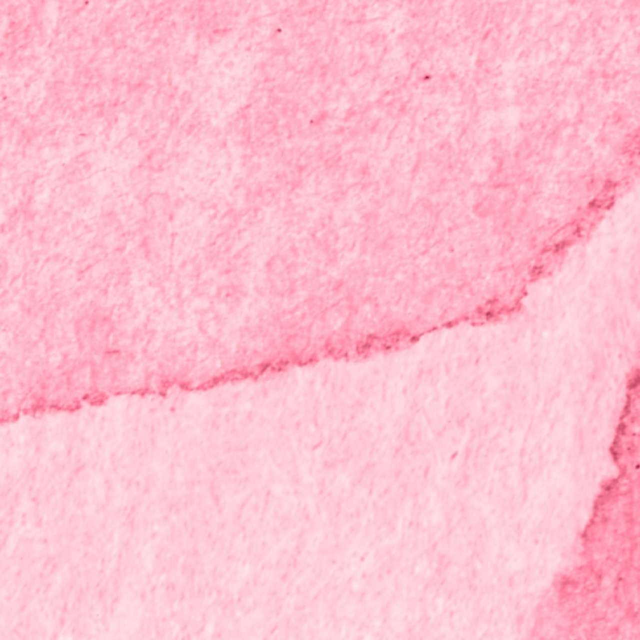 Fototapet, Petals, Magenta, Rebel Walls - 4