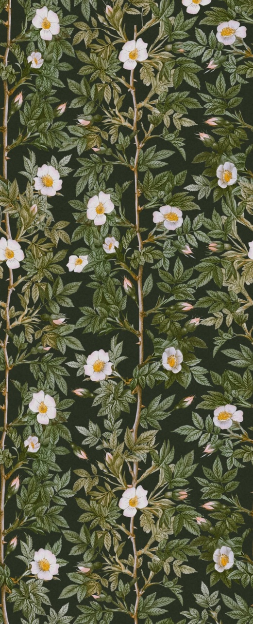 Fototapet, Rose Hip, Midnight, Rebel Walls - 2