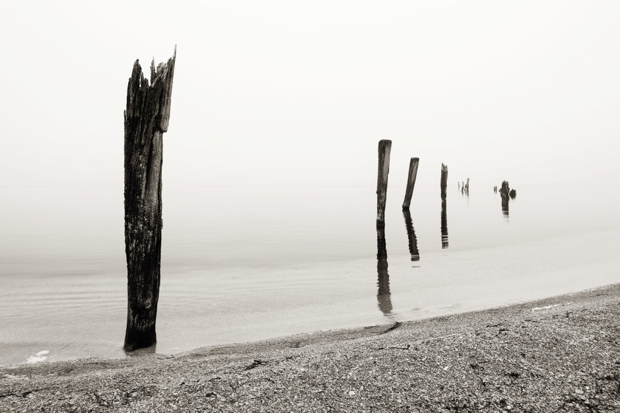 Fototapet, Shoreline, Rebel Walls - 2