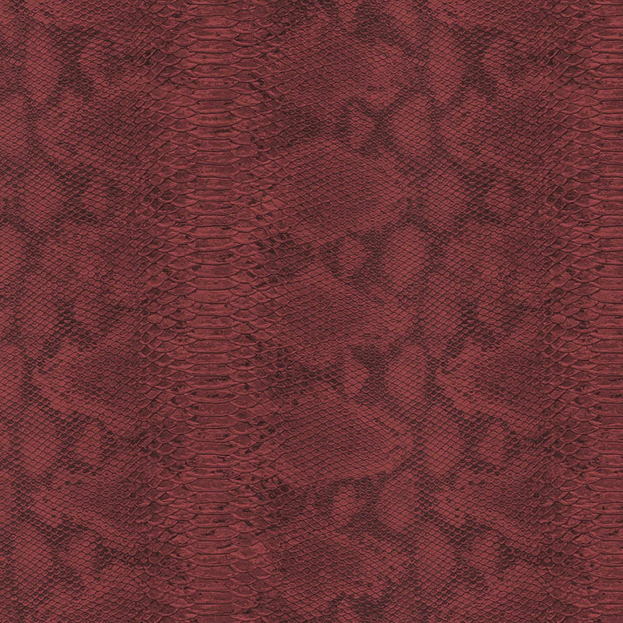 Fototapet, Snake Leather, 64785401, Coordonne