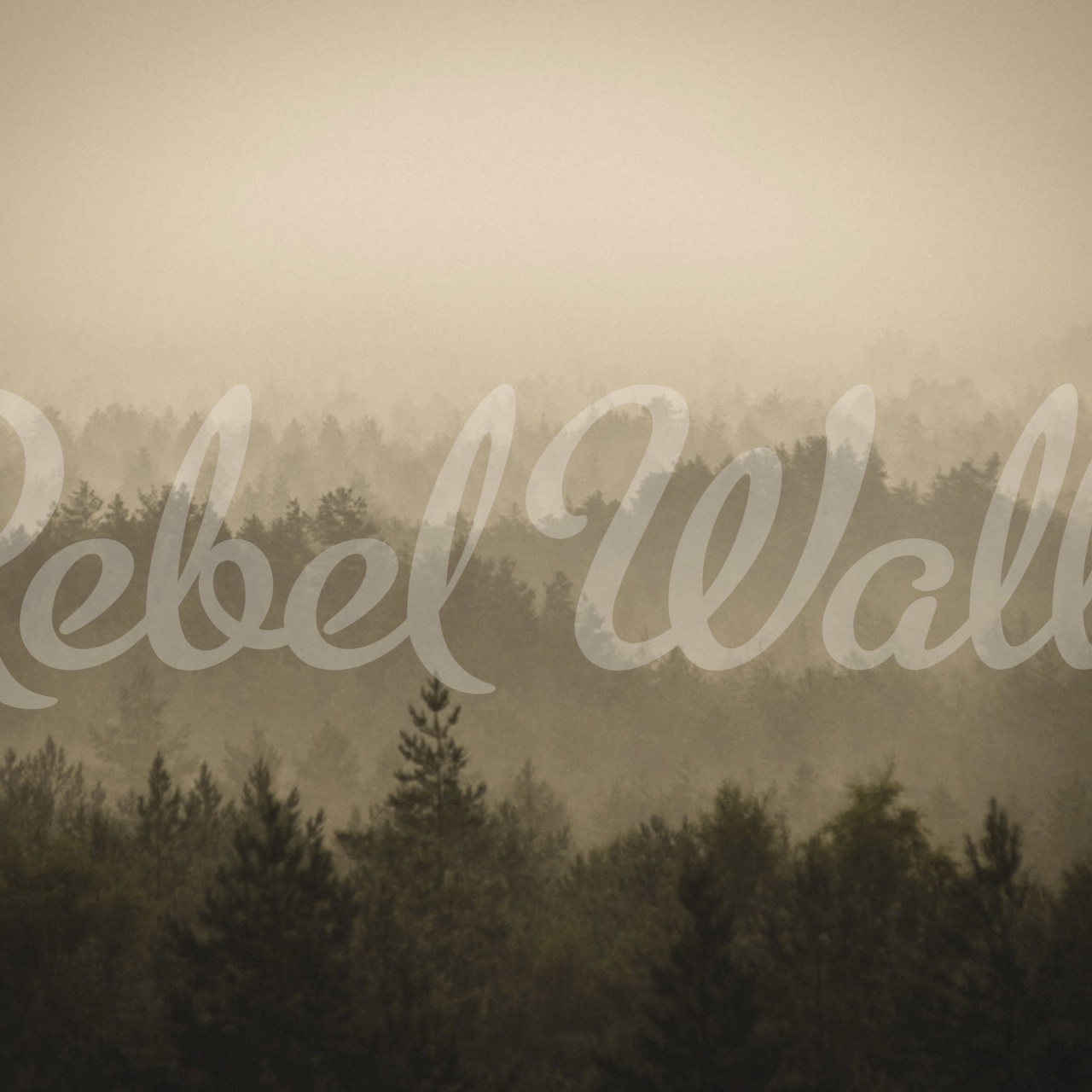 Fototapet, Soft Forest, Rebel Walls - 2