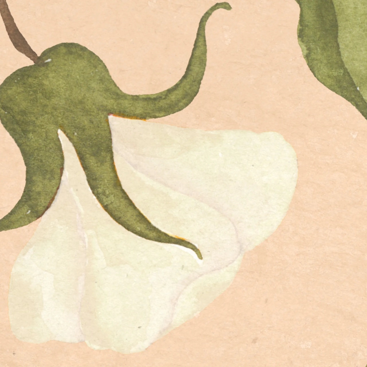 Fototapet, Soft Vines, Pink, Rebel Walls - 4