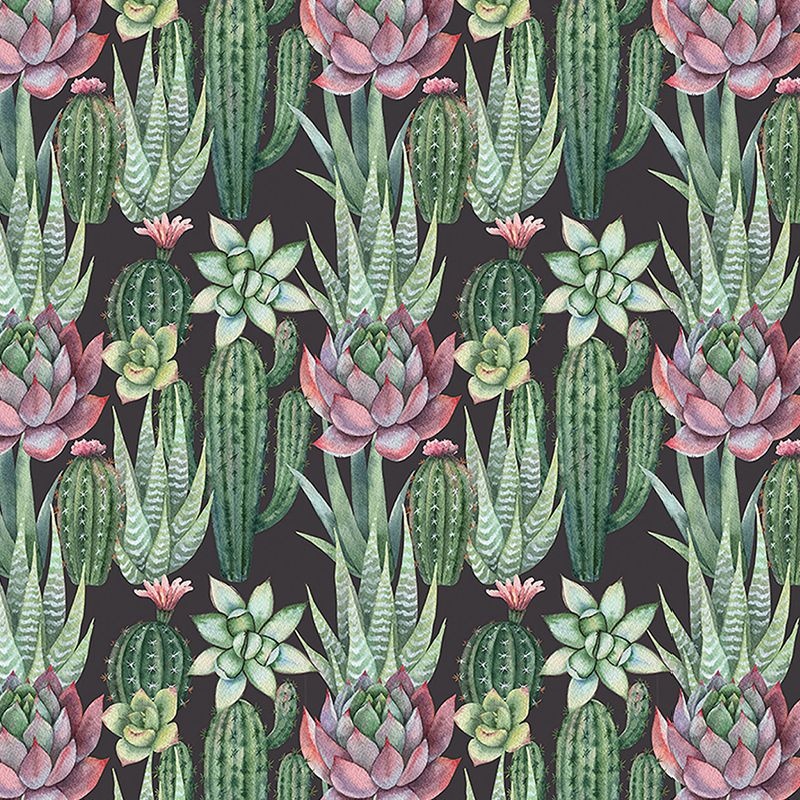 Fototapet Succulents, VLAdiLA - 2