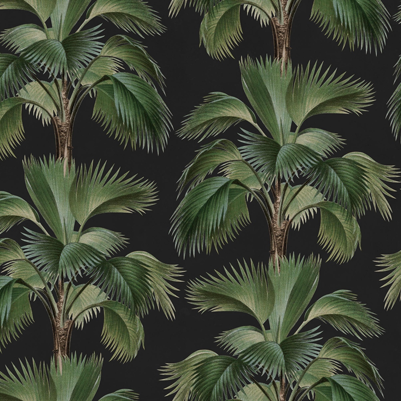 Fototapet, Tropical Rhythm, Black, Rebel Walls - 2