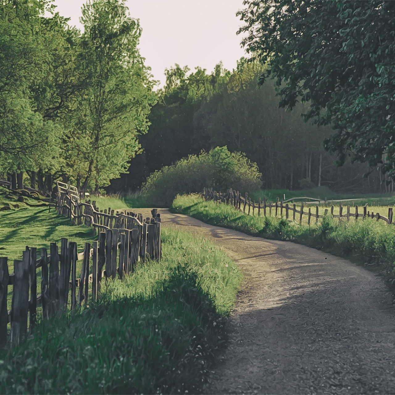 Fototapet, Wooden Fence, Rebel Walls - 2