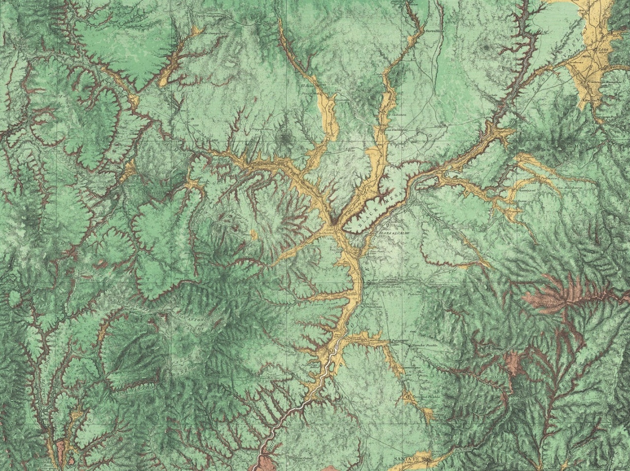 Fototapet, Woodland, Rebel Walls - 2