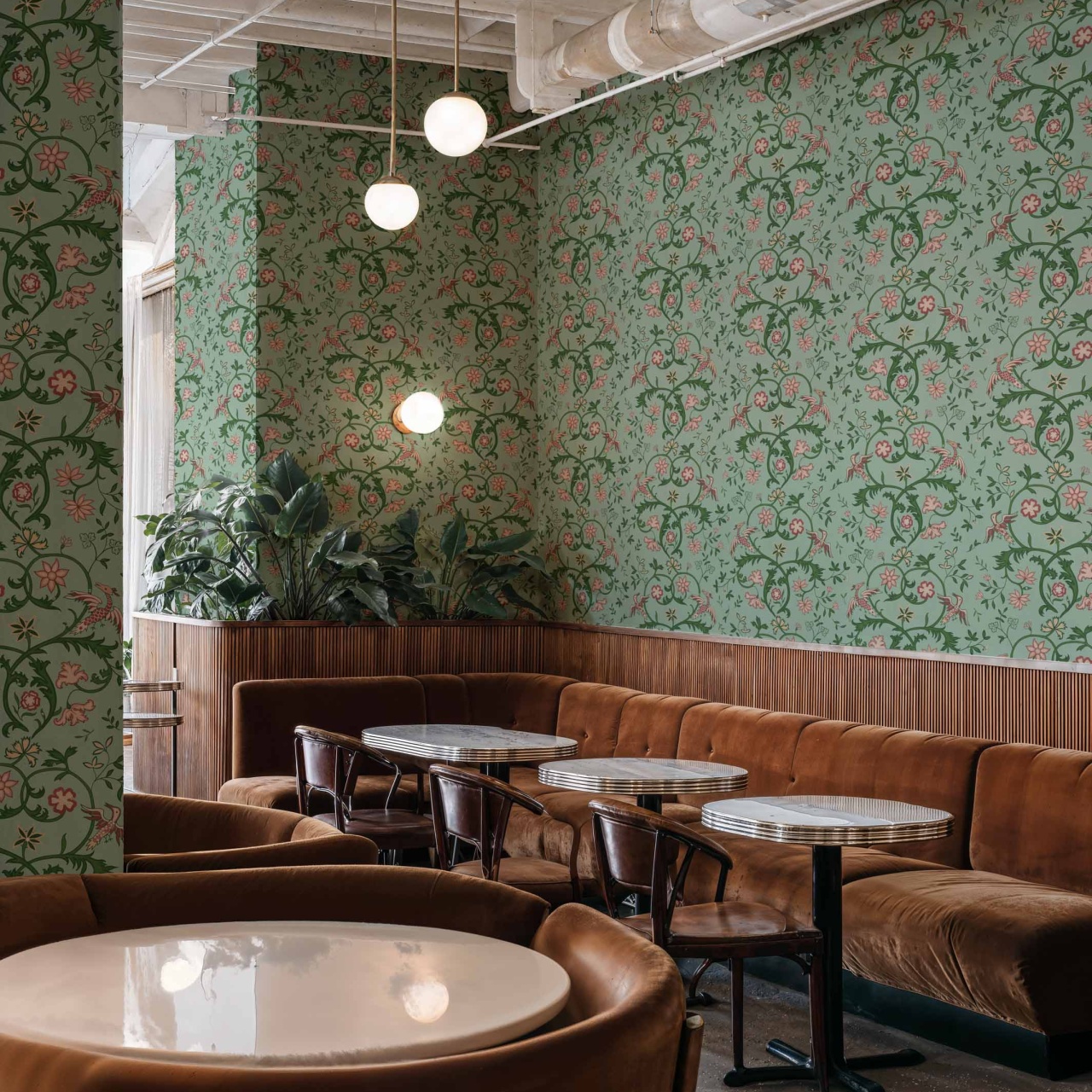 Tapet Antwerp Damask, Sage, Coordonne, 5mp / rola