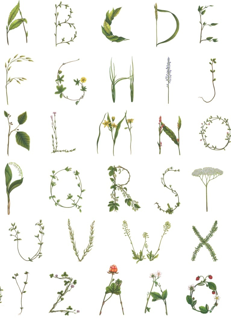 Tapet Floral Alphabet Mini, Swedish, Rebel Walls, 5 mp / rola - 2