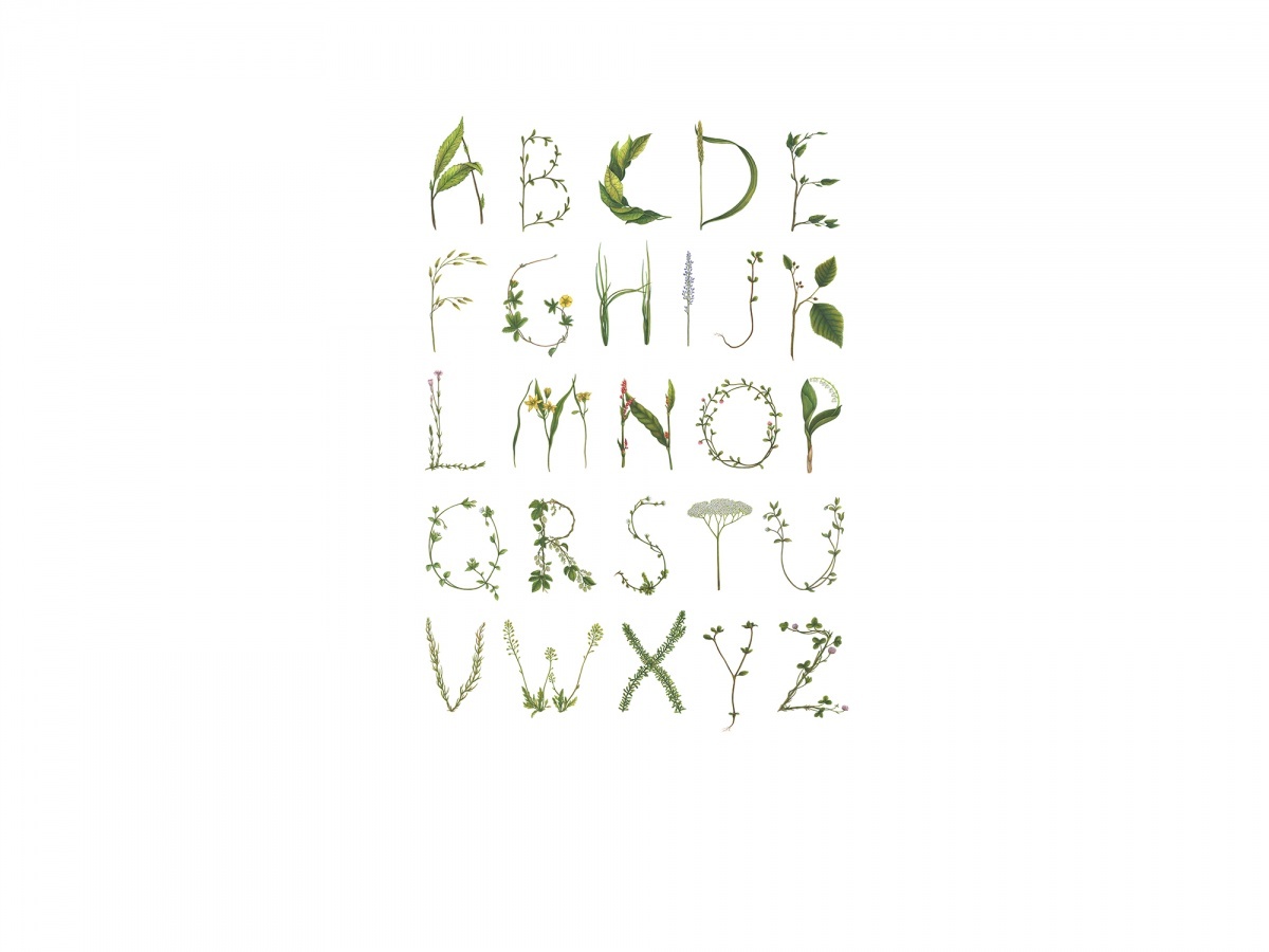 Fototapet, ABC for the Spelling Bee, Rebel Walls - 2