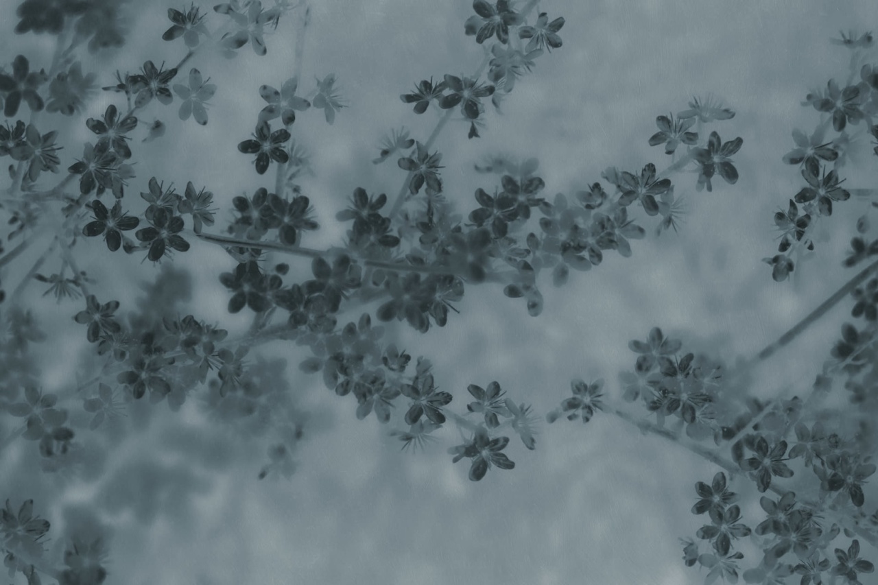 Fototapet, Apple Bloom, Blue, Rebel Walls - 2