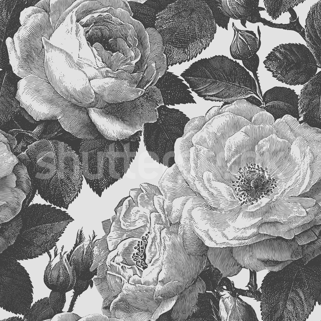 Fototapet, Bold Roses, Black & White, Rebel Walls - 2
