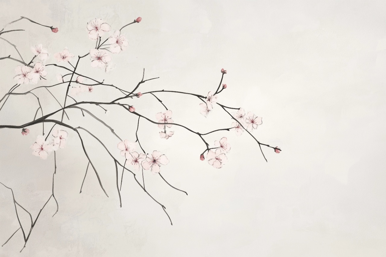 Fototapet Botanic Asahii Sakura Rêve AS204