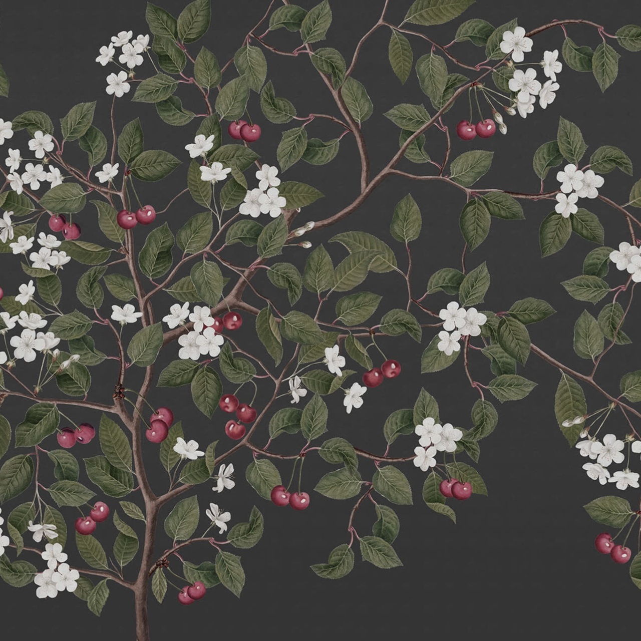 Fototapet, Cherries, Midnight, Rebel Walls - 2