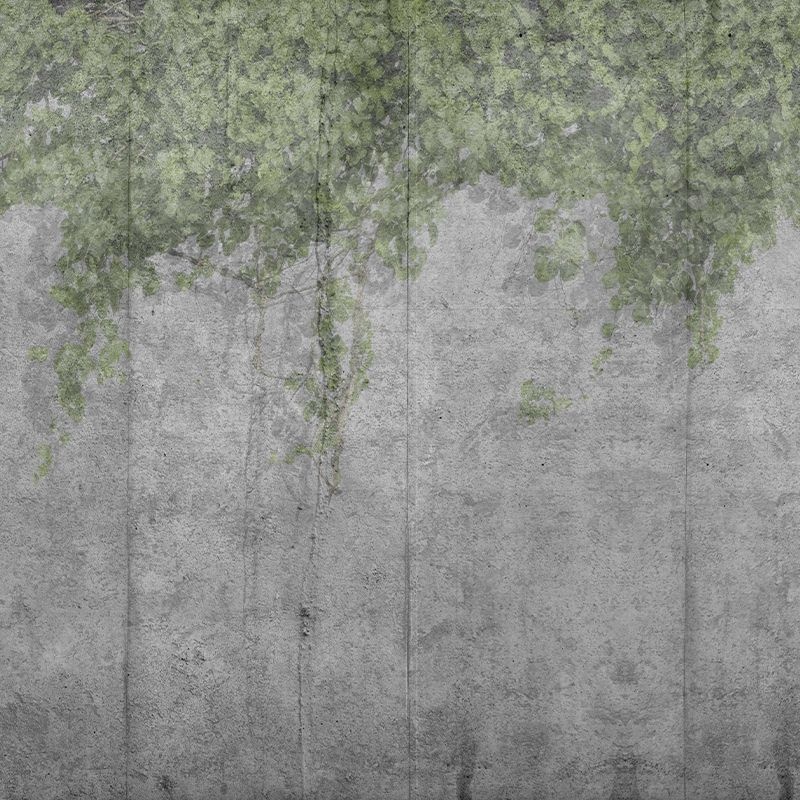 Fototapet Concrete Vine, VLAdiLA - 3