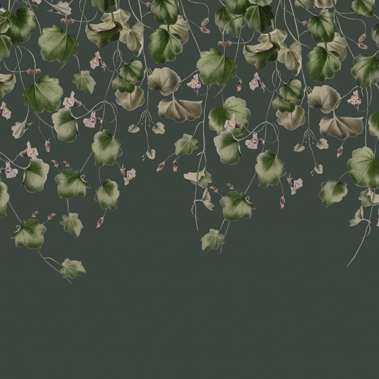 Fototapet, Dangling Ivy, Dark, Rebel Walls - 2