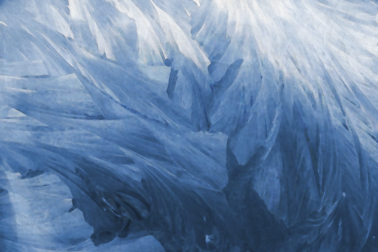 Fototapet, Feathers, Rebel Walls - 2