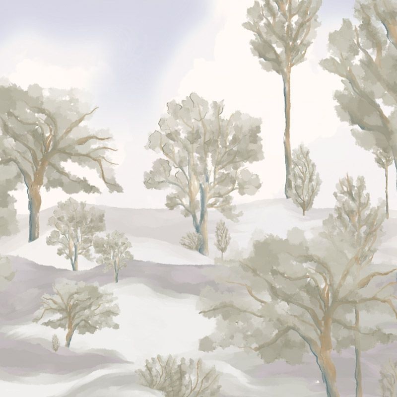Fototapet Foggy forest light, VLAdiLA - 2