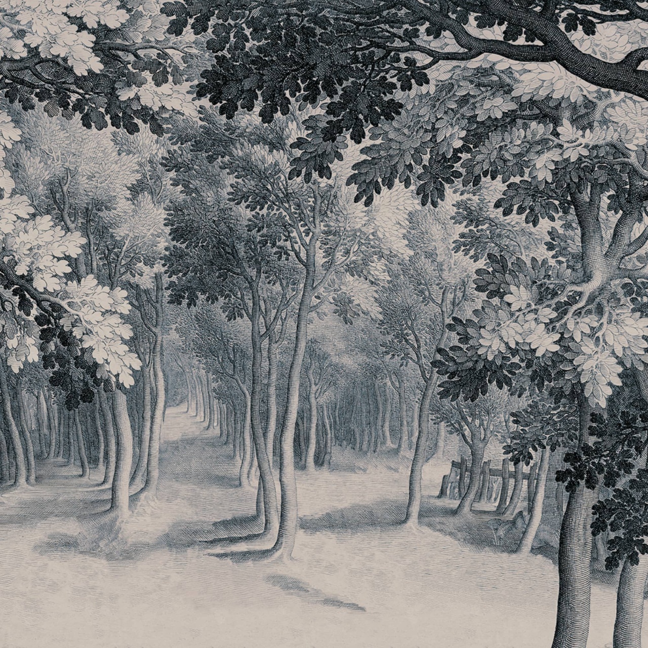 Fototapet, Forest Engraving, Blue, Rebel Walls - 2