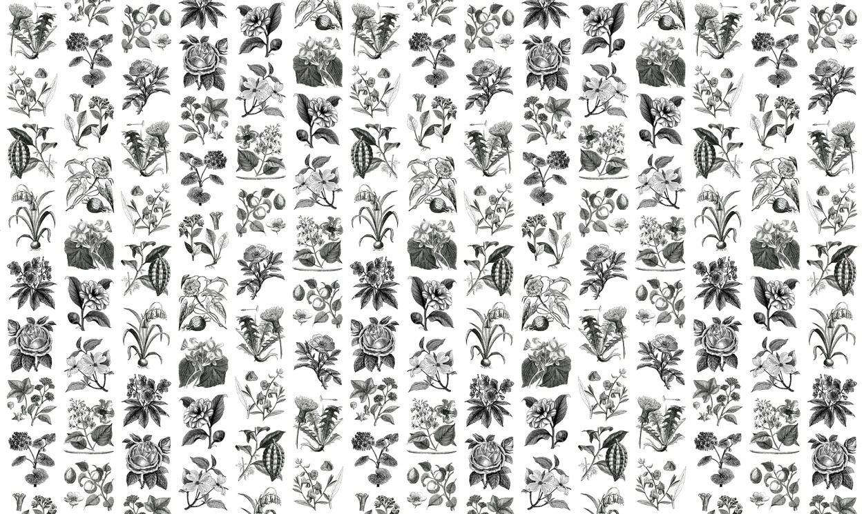 Fototapet, Fruit & Flora, Rebel Walls - 3