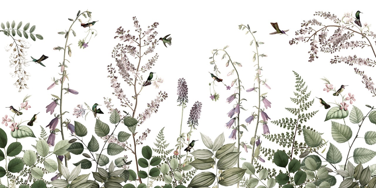 Fototapet Hummingbird Hedge, Kikki Belle - 2