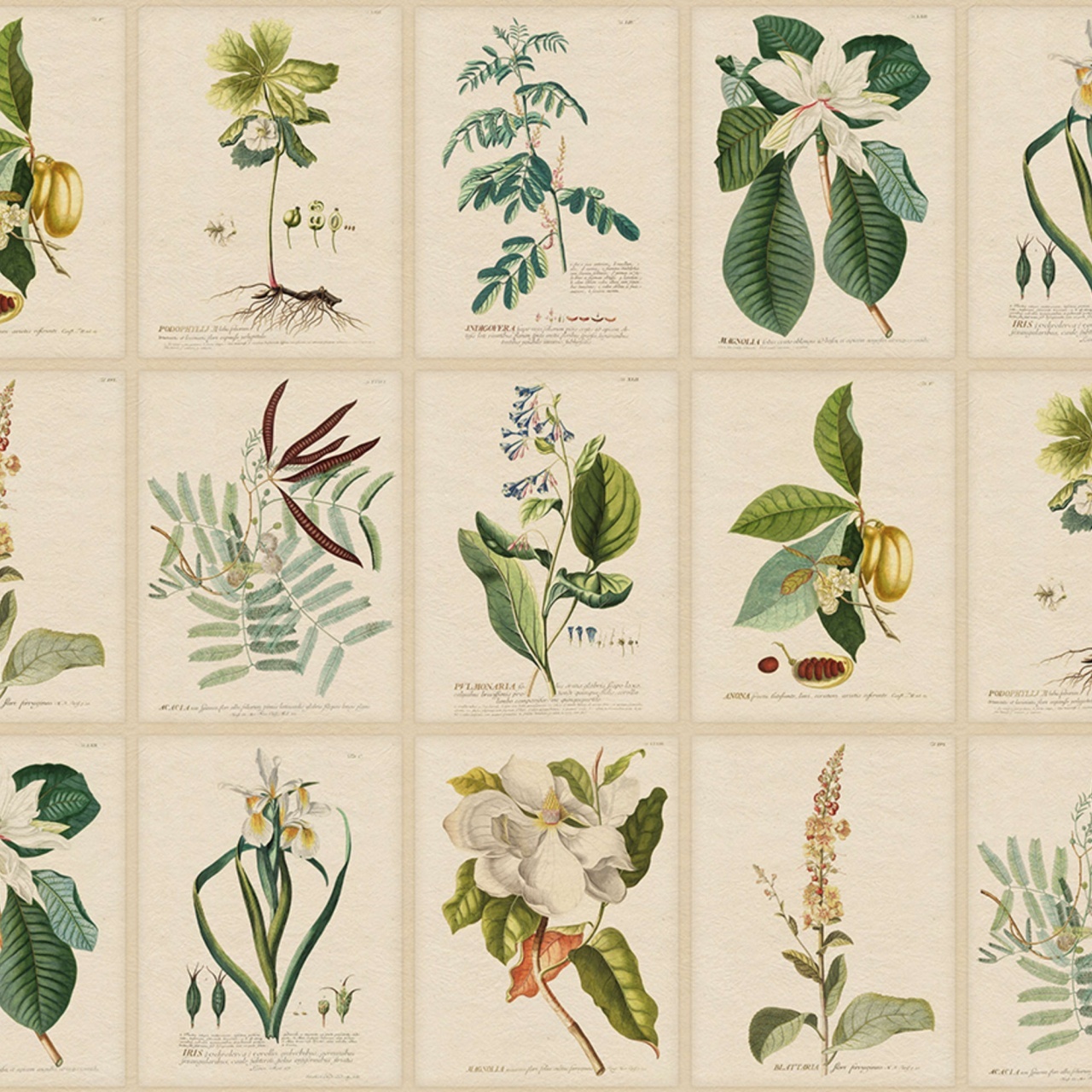 Fototapet lavabil, Flora, Green, Sandberg - 2