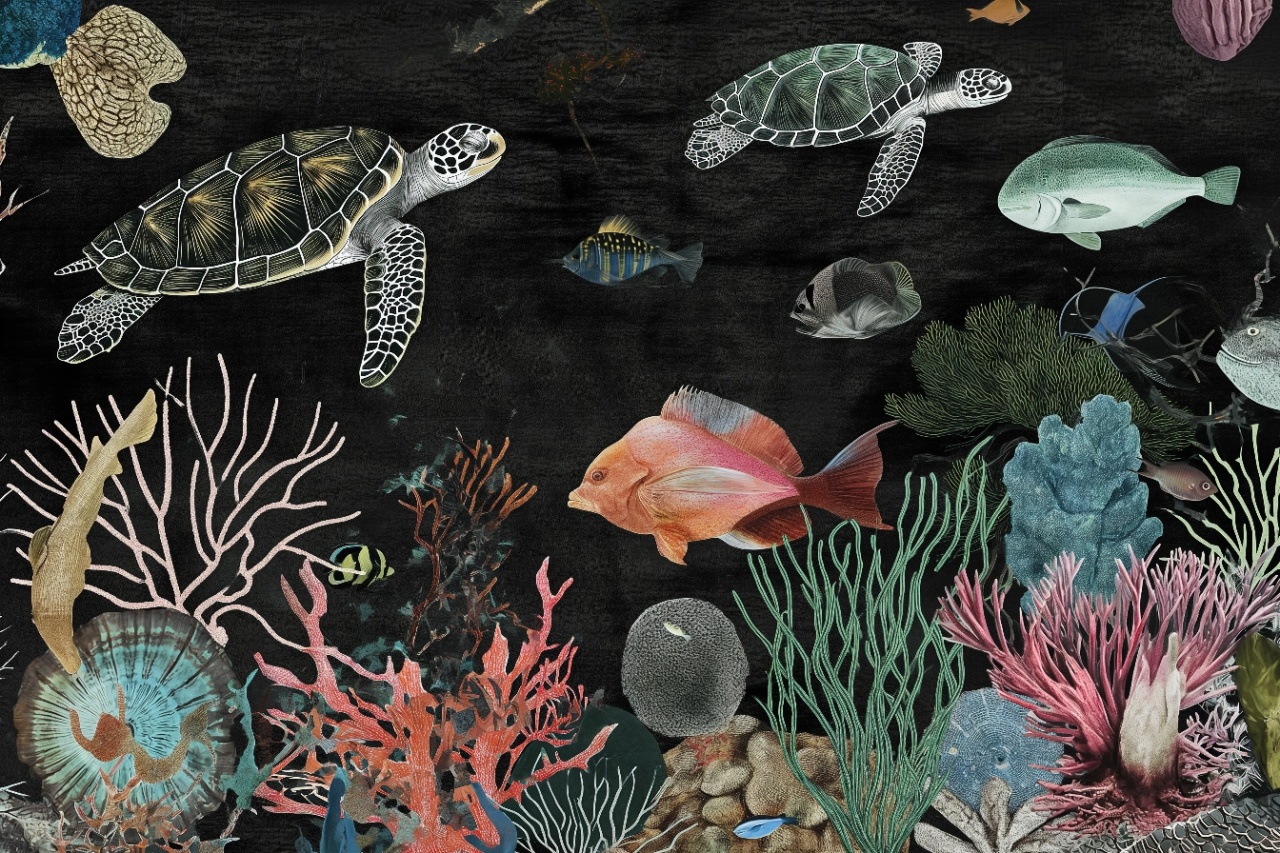 Fototapet Modern Profond Tortue Rêve PT104