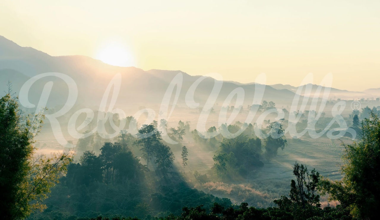 Fototapet, Morning Light, Rebel Walls - 2