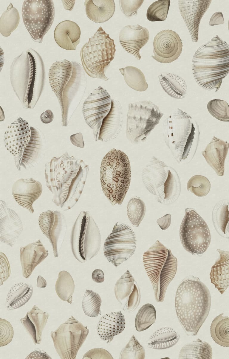 Fototapet, Ocean Shells, Sand, Rebel Walls - 2