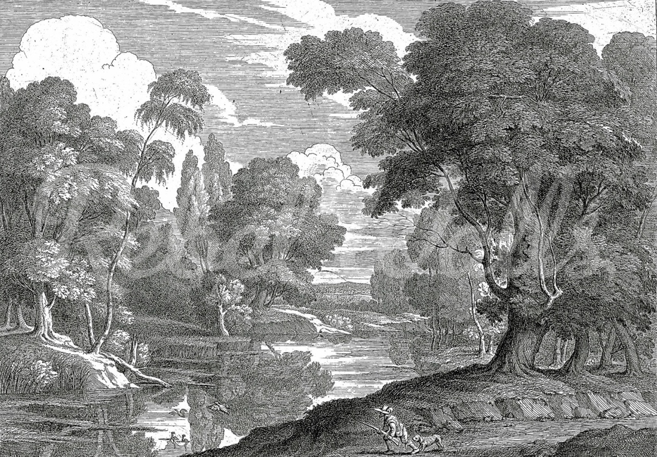 Fototapet, Park Etching, Gray, Rebel Walls - 2