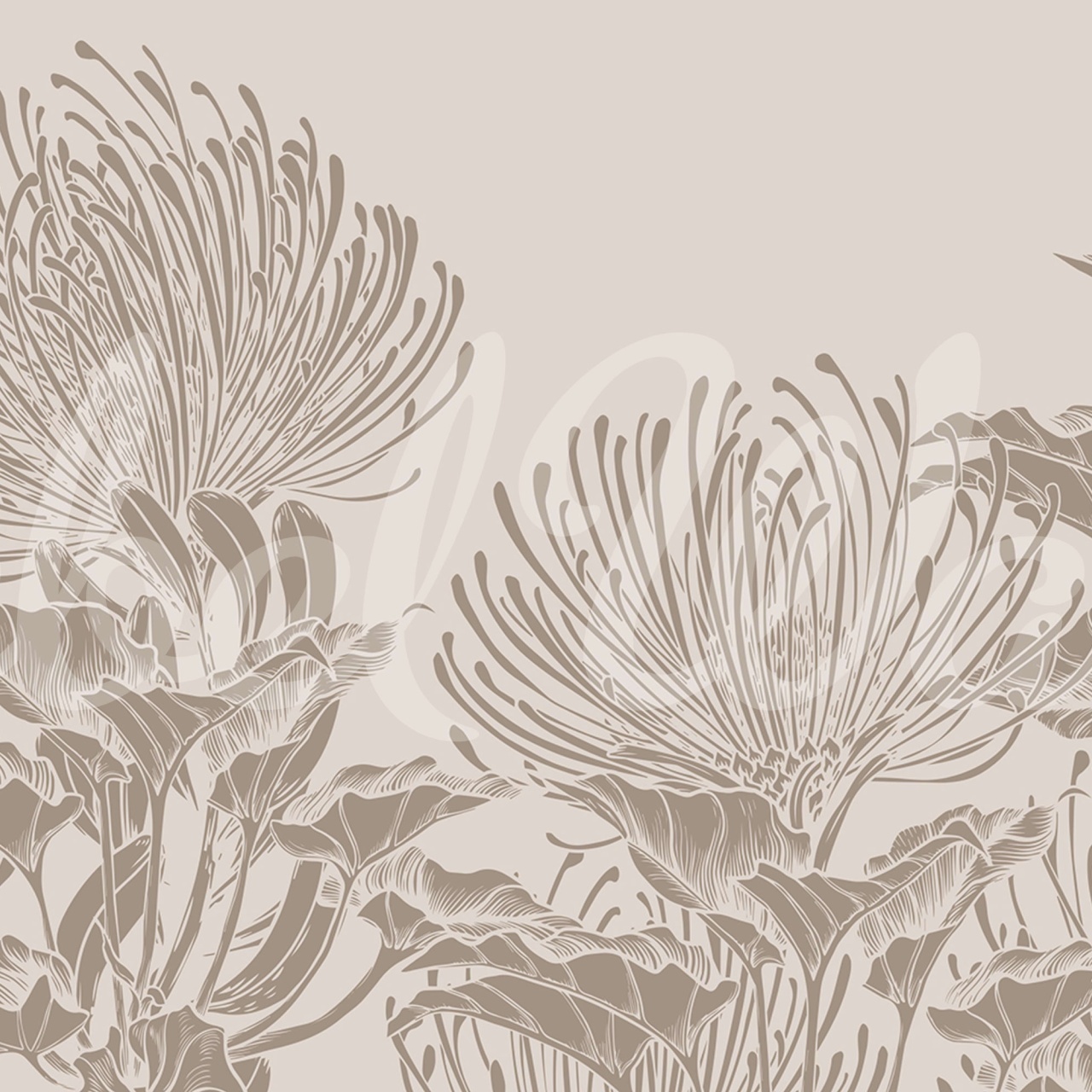 Fototapet, Protea Bloom, Soft Gray, Rebel Walls - 2