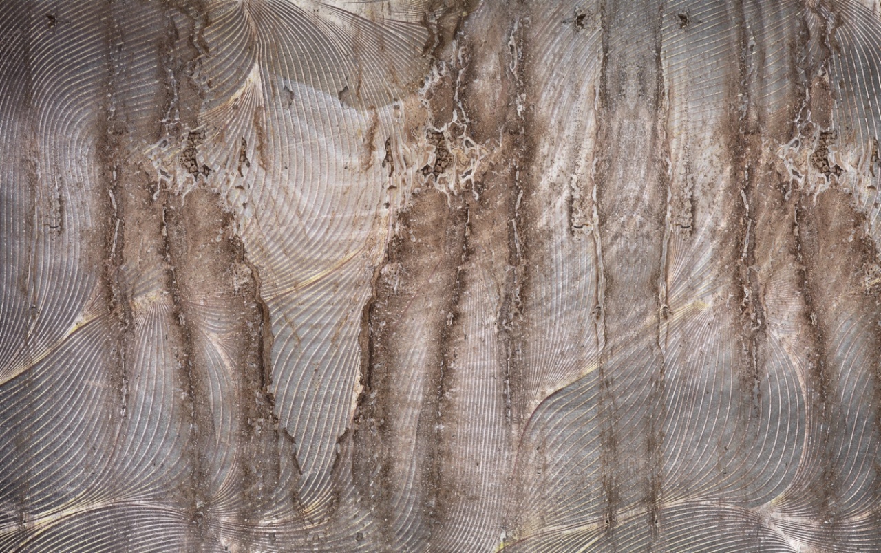 Fototapet Rustic Marcin Runowiecki R-Design Ravena B Rêve MRRB100