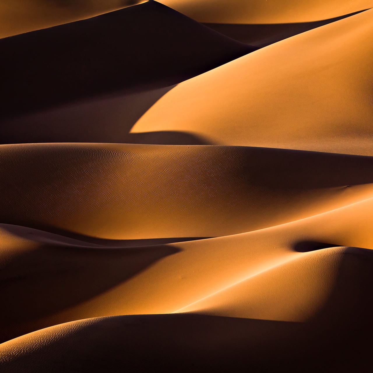 Fototapet, Sahara, Rebel Walls - 2