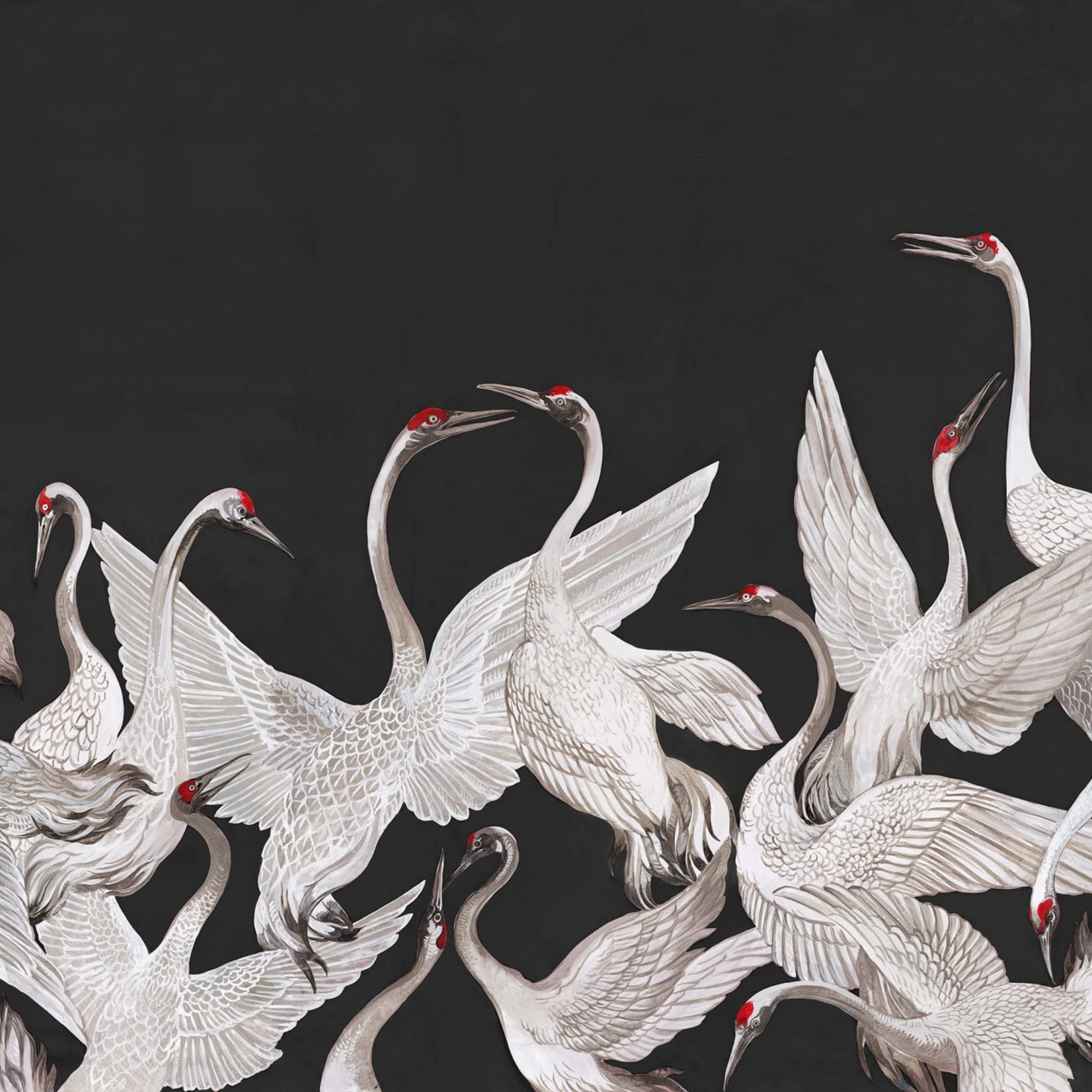 Fototapet, Soaring Cranes, Black, Rebel Walls - 2