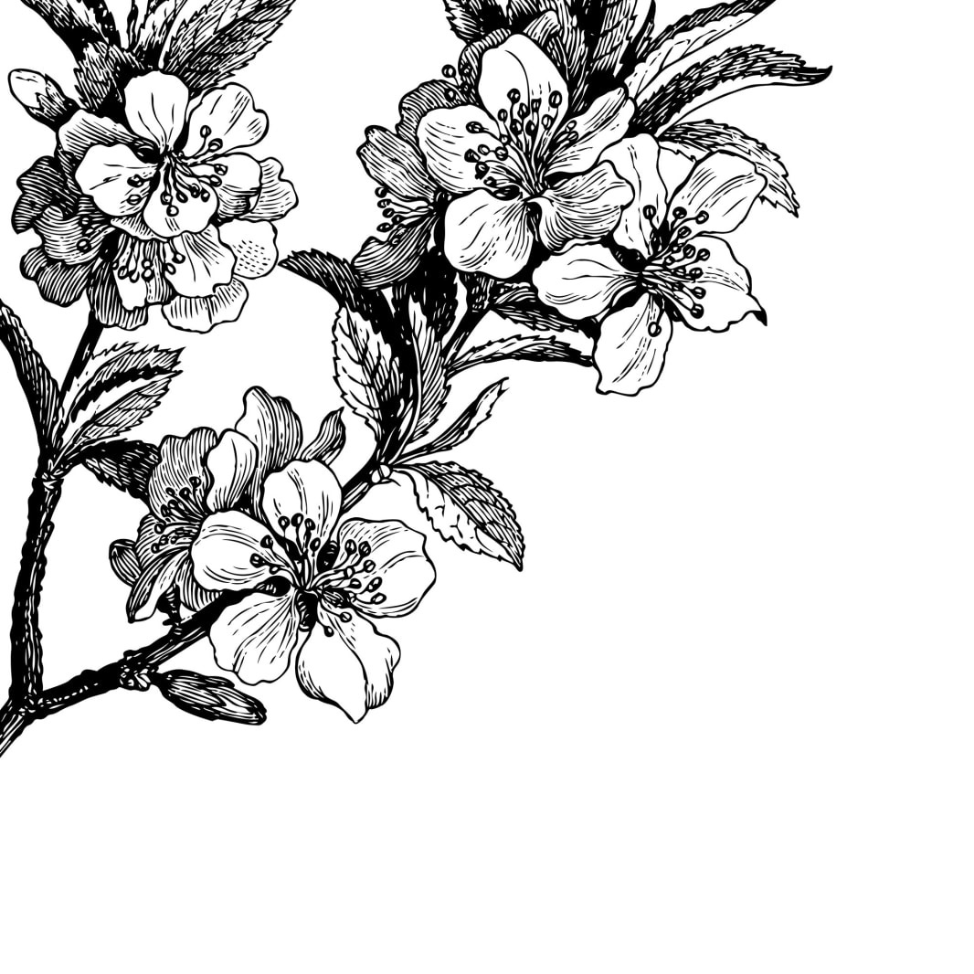 Fototapet, Springtime, Black&White, Rebel Walls - 2