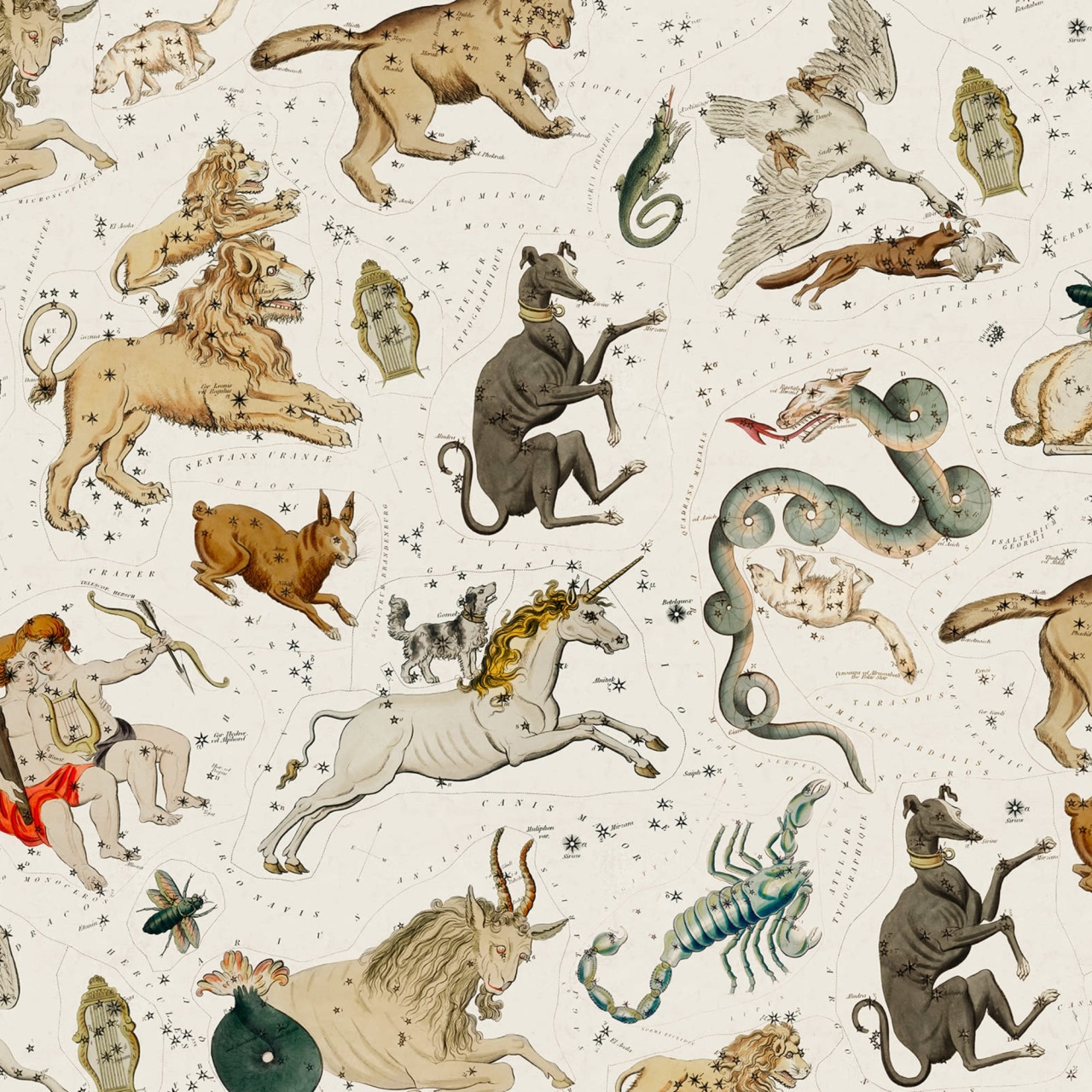 Fototapet, Zodiac, Day, Rebel Walls - 2