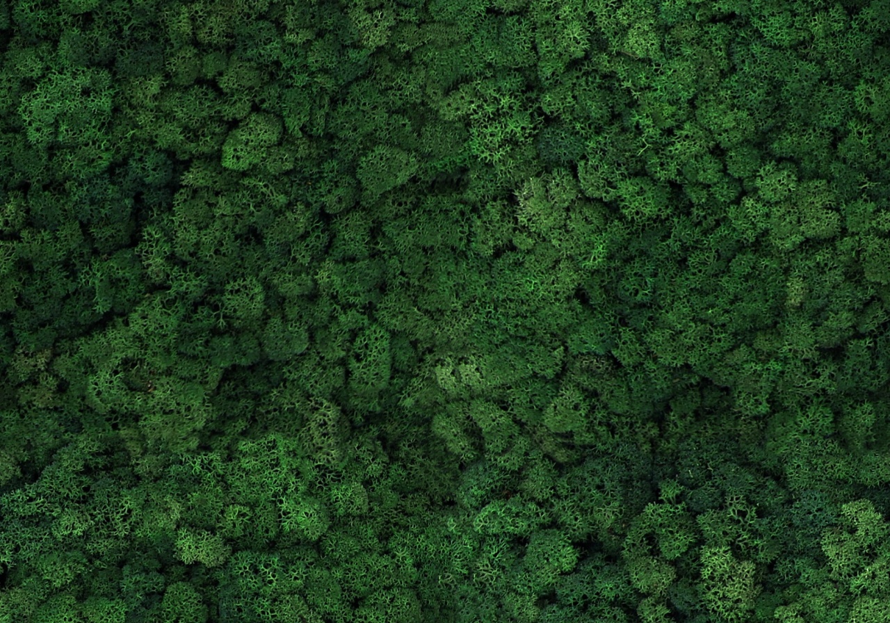 Panou decorativ din muschi, Torvtak Icemoss Moss Green - Img 1