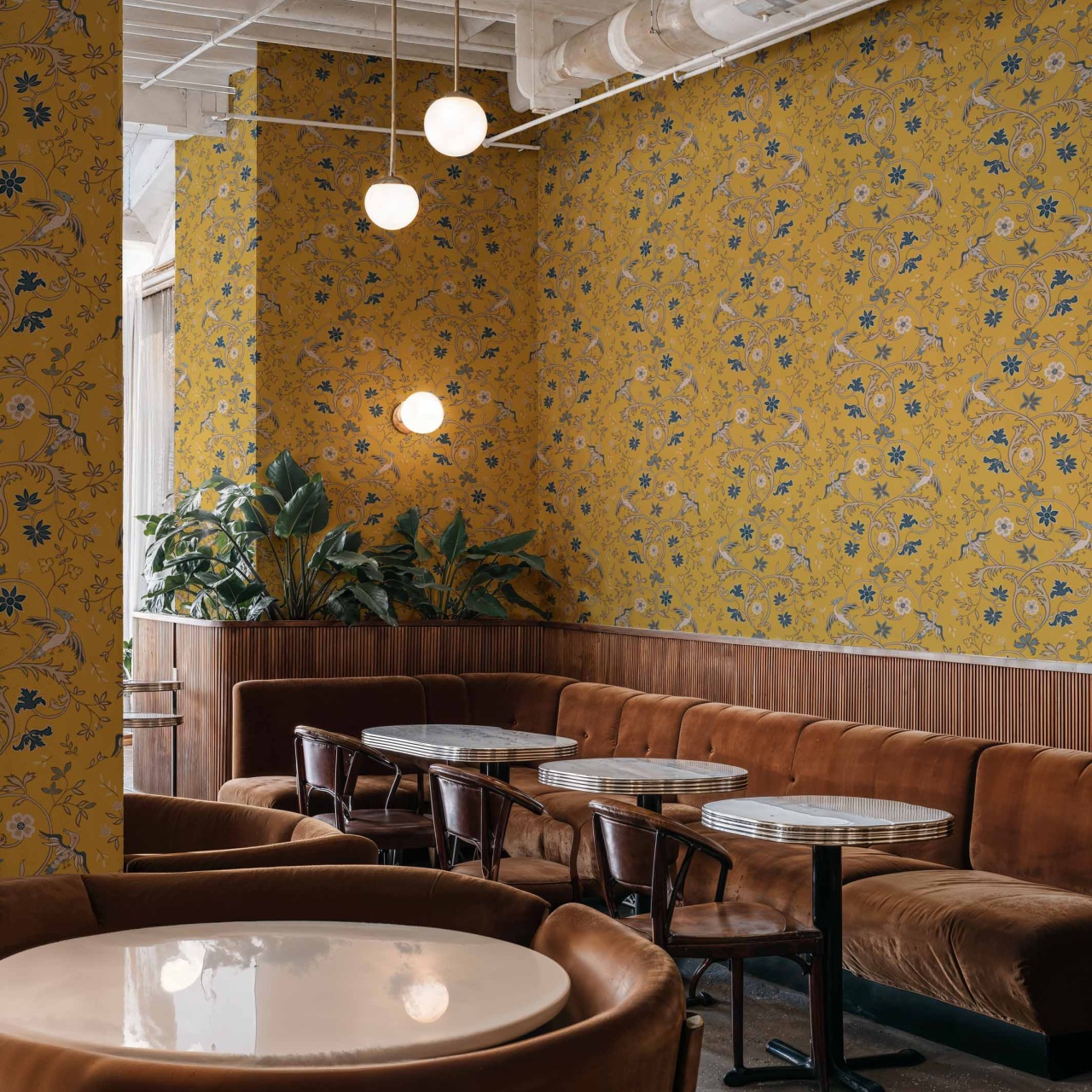 Tapet Antwerp Damask, Mustard, Coordonne, 5mp / rola